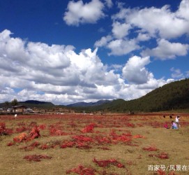 资阳旅游去处(暑期最好的旅游去处)
