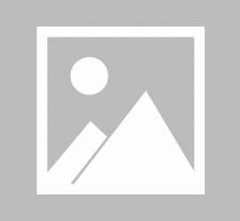 资阳私人伴游 黄金周里动“黄”经 天津又现“私人陪游”逆流