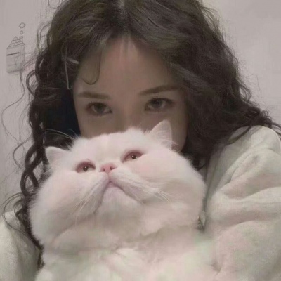 资阳伴游女生韩婉婷的资料